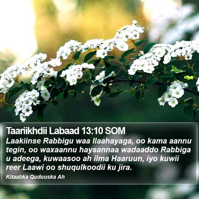 Taariikhdii Labaad 13:10 SOM Bible Verse Image