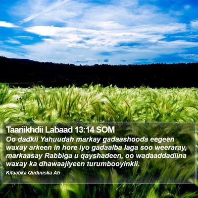Taariikhdii Labaad 13:14 SOM Bible Verse Image