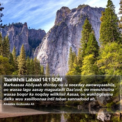 Taariikhdii Labaad 14:1 SOM Bible Verse Image