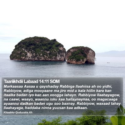 Taariikhdii Labaad 14:11 SOM Bible Verse Image