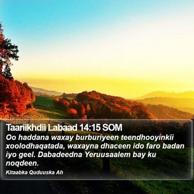 Taariikhdii Labaad 14:15 SOM Bible Verse Image