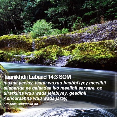 Taariikhdii Labaad 14:3 SOM Bible Verse Image