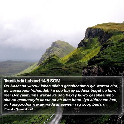 Taariikhdii Labaad 14:8 SOM Bible Verse Image