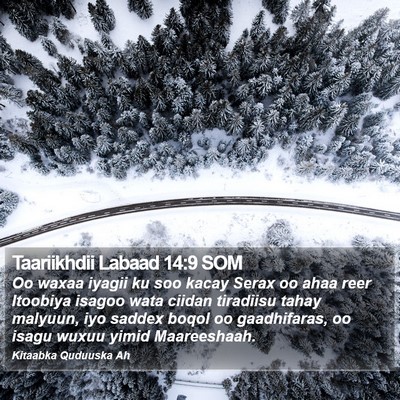 Taariikhdii Labaad 14:9 SOM Bible Verse Image