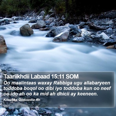 Taariikhdii Labaad 15:11 SOM Bible Verse Image