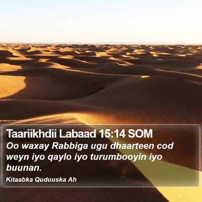 Taariikhdii Labaad 15:14 SOM Bible Verse Image