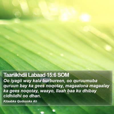Taariikhdii Labaad 15:6 SOM Bible Verse Image