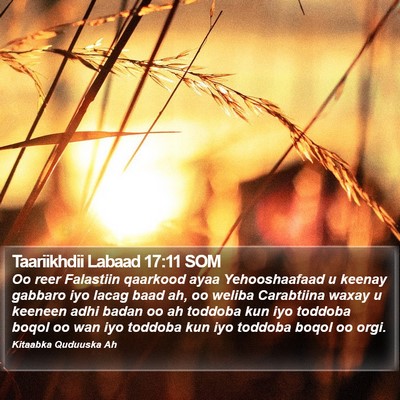 Taariikhdii Labaad 17:11 SOM Bible Verse Image