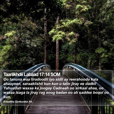 Taariikhdii Labaad 17:14 SOM Bible Verse Image