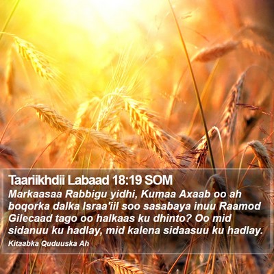 Taariikhdii Labaad 18:19 SOM Bible Verse Image