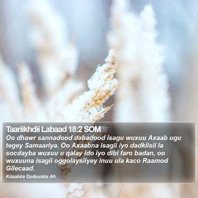 Taariikhdii Labaad 18:2 SOM Bible Verse Image