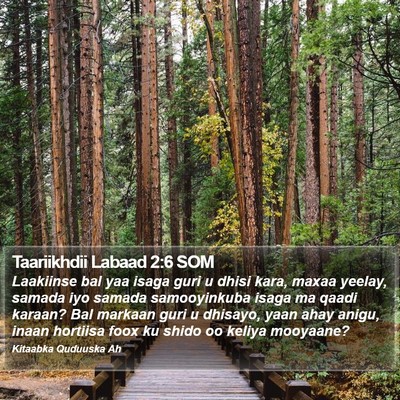 Taariikhdii Labaad 2:6 SOM Bible Verse Image