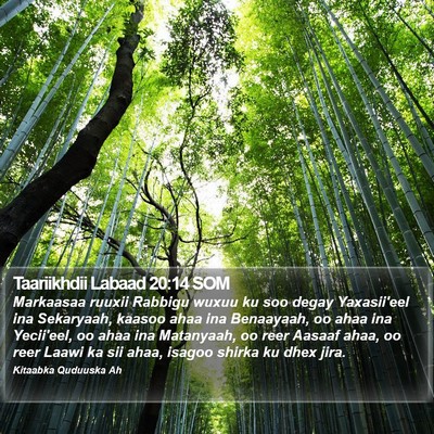 Taariikhdii Labaad 20:14 SOM Bible Verse Image