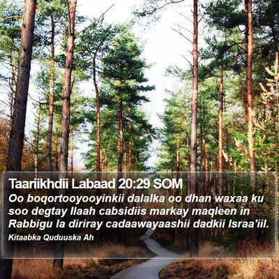 Taariikhdii Labaad 20:29 SOM Bible Verse Image