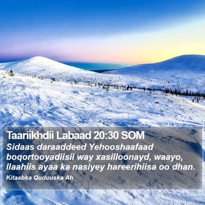 Taariikhdii Labaad 20:30 SOM Bible Verse Image