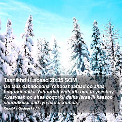 Taariikhdii Labaad 20:35 SOM Bible Verse Image