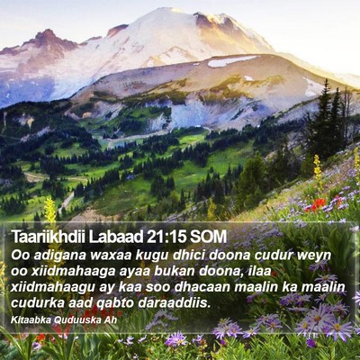 Taariikhdii Labaad 21:15 SOM Bible Verse Image