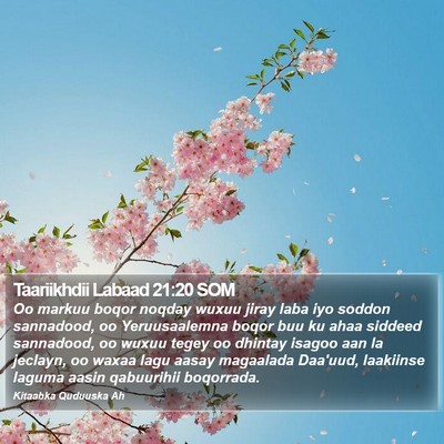 Taariikhdii Labaad 21:20 SOM Bible Verse Image