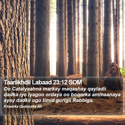 Taariikhdii Labaad 23:12 SOM Bible Verse Image
