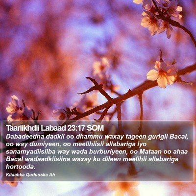 Taariikhdii Labaad 23:17 SOM Bible Verse Image