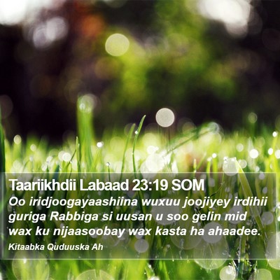 Taariikhdii Labaad 23:19 SOM Bible Verse Image