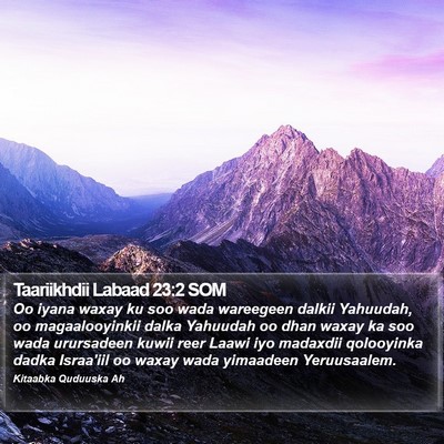 Taariikhdii Labaad 23:2 SOM Bible Verse Image