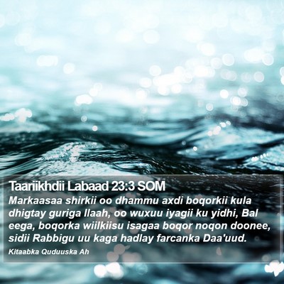 Taariikhdii Labaad 23:3 SOM Bible Verse Image