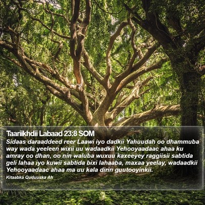 Taariikhdii Labaad 23:8 SOM Bible Verse Image