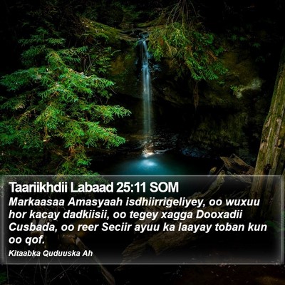 Taariikhdii Labaad 25:11 SOM Bible Verse Image