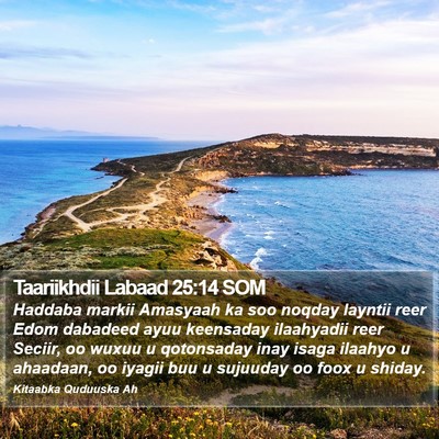 Taariikhdii Labaad 25:14 SOM Bible Verse Image
