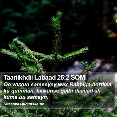 Taariikhdii Labaad 25:2 SOM Bible Verse Image