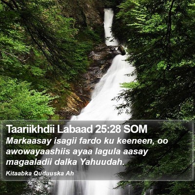 Taariikhdii Labaad 25:28 SOM Bible Verse Image