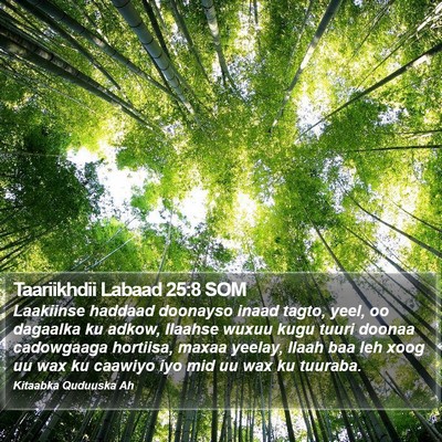 Taariikhdii Labaad 25:8 SOM Bible Verse Image
