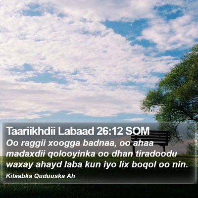 Taariikhdii Labaad 26:12 SOM Bible Verse Image