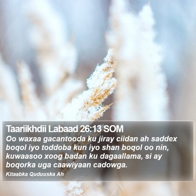 Taariikhdii Labaad 26:13 SOM Bible Verse Image