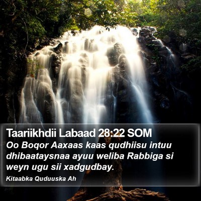 Taariikhdii Labaad 28:22 SOM Bible Verse Image