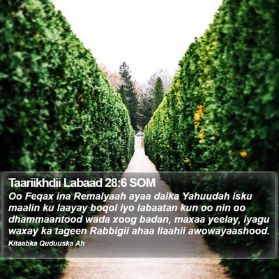 Taariikhdii Labaad 28:6 SOM Bible Verse Image