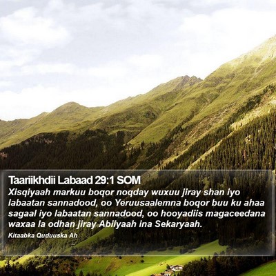 Taariikhdii Labaad 29:1 SOM Bible Verse Image
