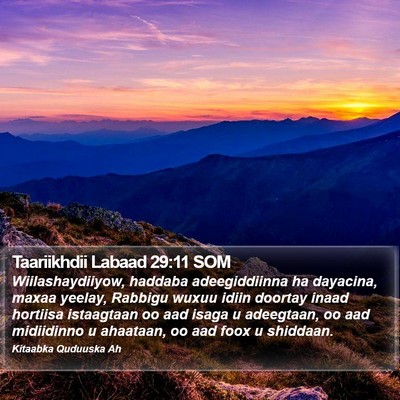 Taariikhdii Labaad 29:11 SOM Bible Verse Image