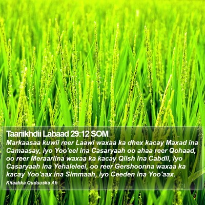 Taariikhdii Labaad 29:12 SOM Bible Verse Image