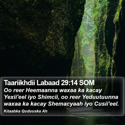 Taariikhdii Labaad 29:14 SOM Bible Verse Image