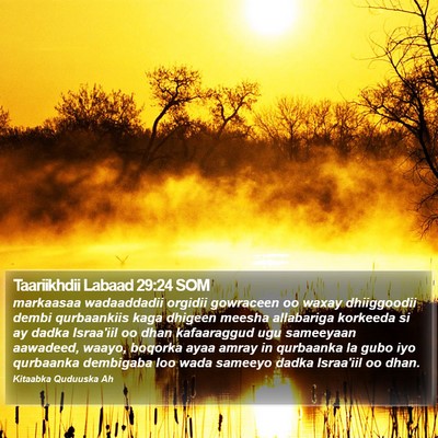 Taariikhdii Labaad 29:24 SOM Bible Verse Image