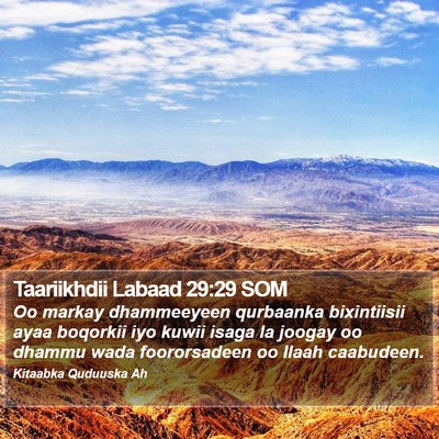 Taariikhdii Labaad 29:29 SOM Bible Verse Image