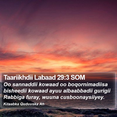 Taariikhdii Labaad 29:3 SOM Bible Verse Image