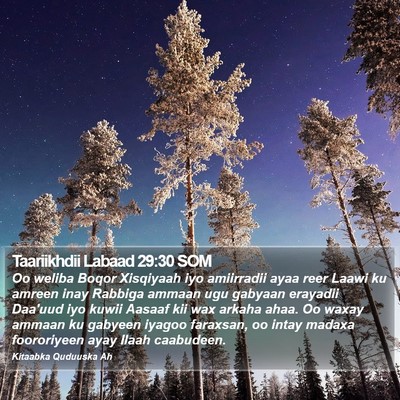 Taariikhdii Labaad 29:30 SOM Bible Verse Image