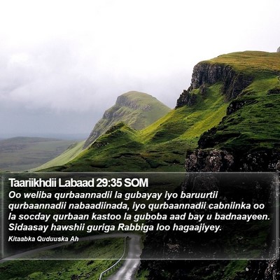 Taariikhdii Labaad 29:35 SOM Bible Verse Image