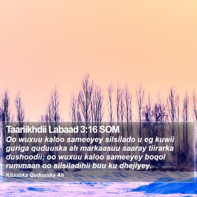 Taariikhdii Labaad 3:16 SOM Bible Verse Image