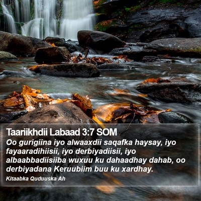 Taariikhdii Labaad 3:7 SOM Bible Verse Image