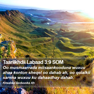 Taariikhdii Labaad 3:9 SOM Bible Verse Image