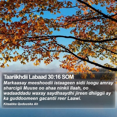 Taariikhdii Labaad 30:16 SOM Bible Verse Image